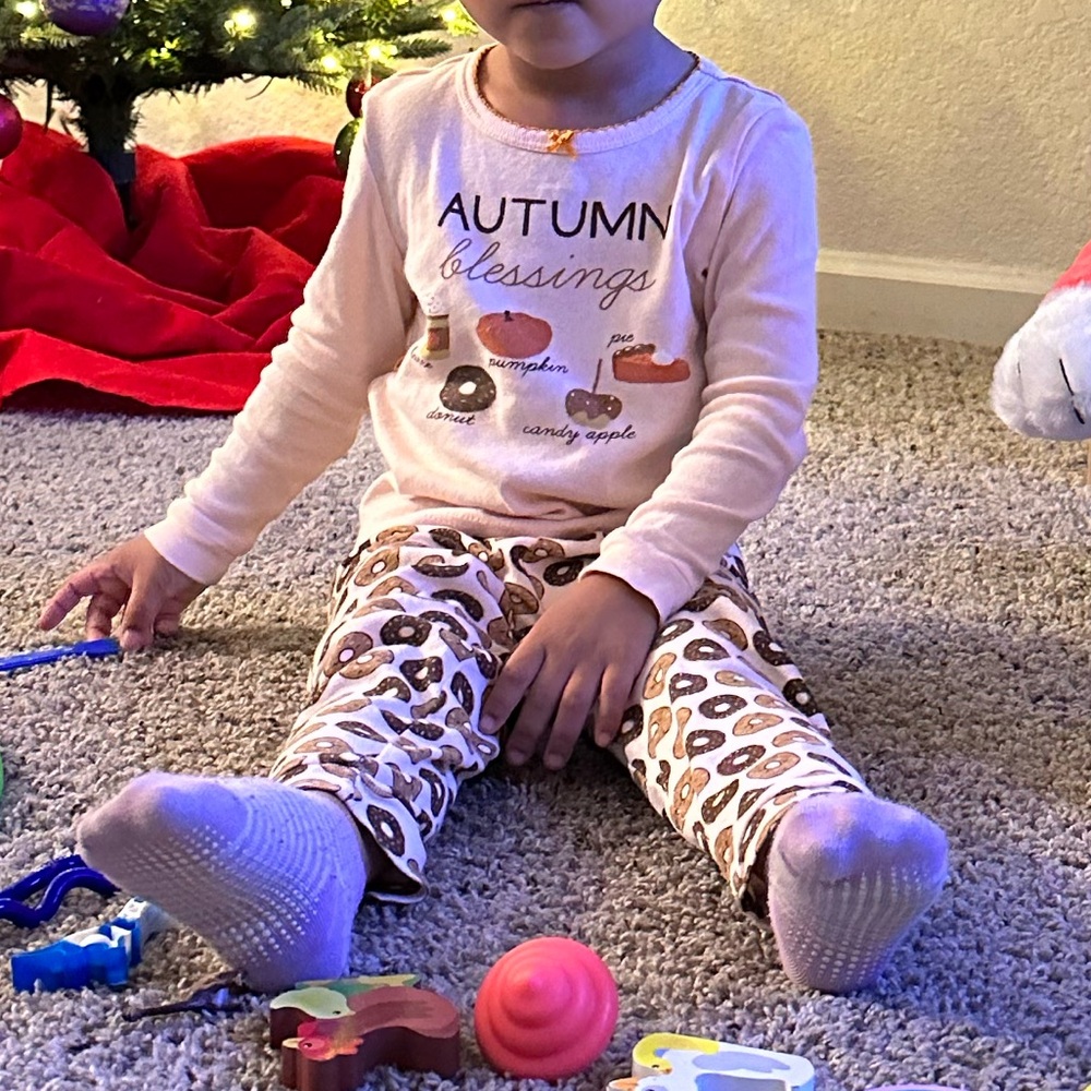 Fall Pajama Set - Picture 7 of 7